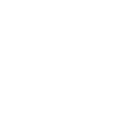 RAA Logo